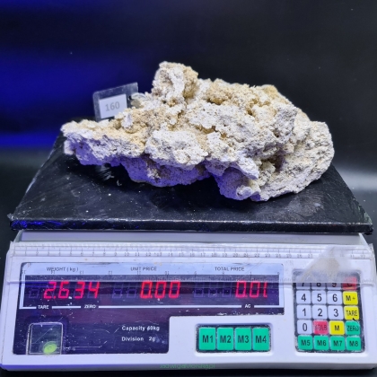Sucha skała premium 2.634 kg (24.90 pln/kg) nr 160 INDONEZJA
