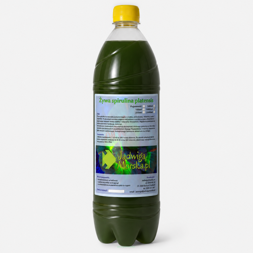 Spirulina platensis 1L (żywa kultura)
