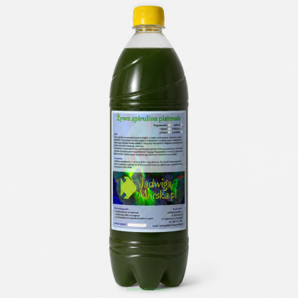 Spirulina platensis 1L (żywa kultura)