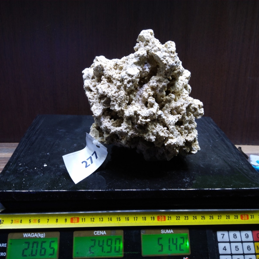 Sucha skała premium 2.065 kg (24.90 pln/kg) nr J277 INDONEZJA
