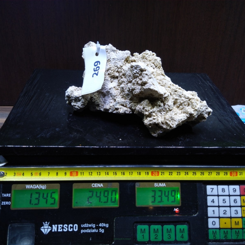 Sucha skała premium 1.345 kg (24.90 pln/kg) nr J269 INDONEZJA