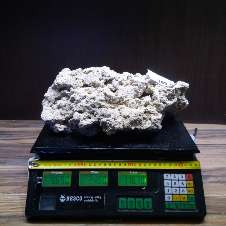 Sucha skała premium 4.69 kg (24.90 pln/kg) nr J289 INDONEZJA