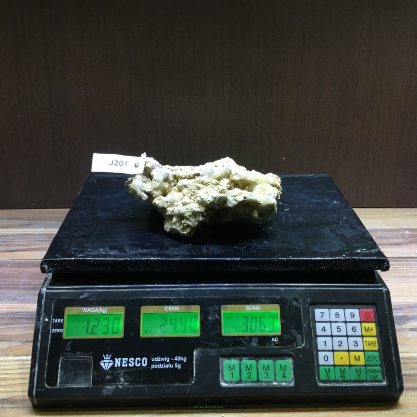 Sucha skała premium 1.23 kg (24.90 pln/kg) nr J201 INDONEZJA