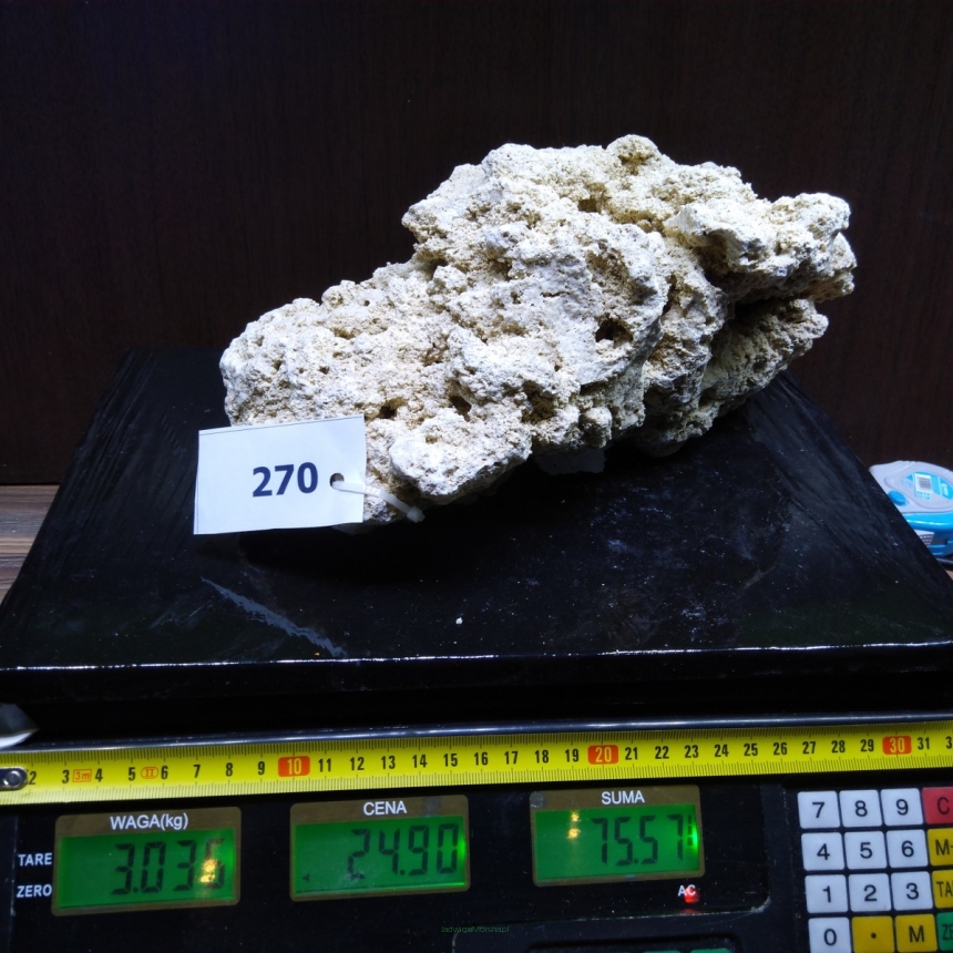 Sucha skała premium 3.035 kg (24.90 pln/kg) nr J270 INDONEZJA