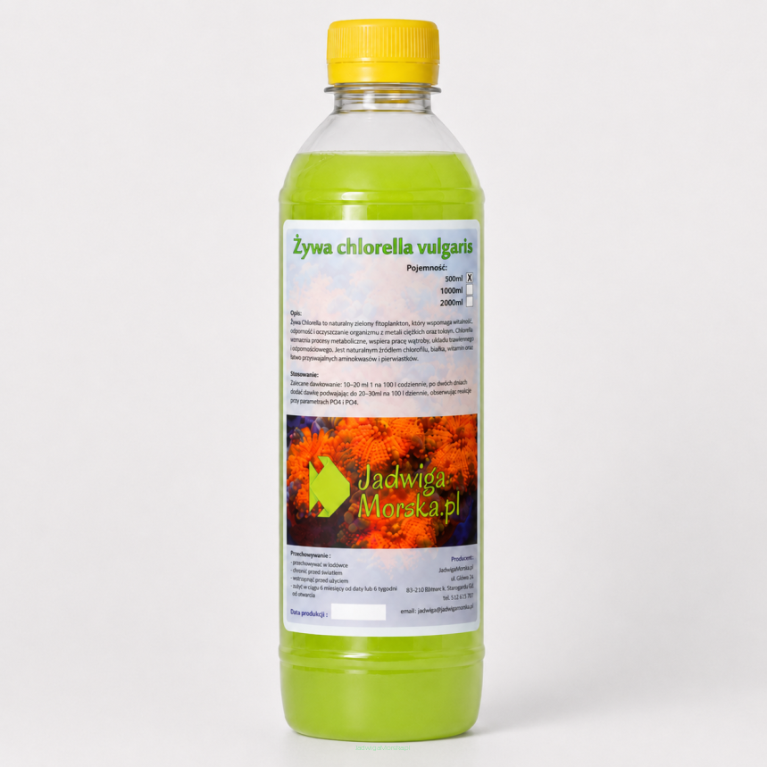 Chlorella vulgaris 0.25L (LIVE)