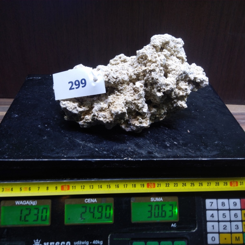 Sucha skała premium 1.23 kg (24.90 pln/kg) nr J299 INDONEZJA