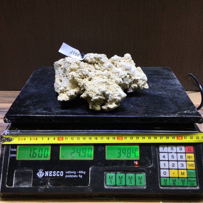 Sucha skała premium 1.6 kg (24.90 pln/kg) nr J166 INDONEZJA
