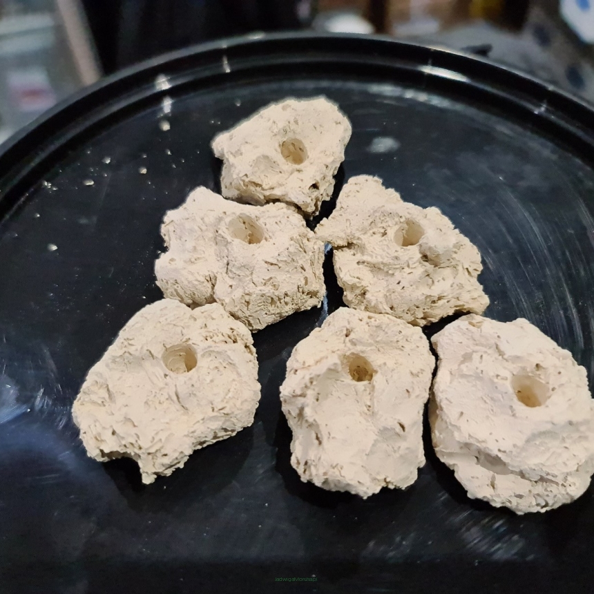 Podstawka ceramiczna naturalna MAŁA pod szczepki koralowców 1 SZT Arka Biotech ASNSM