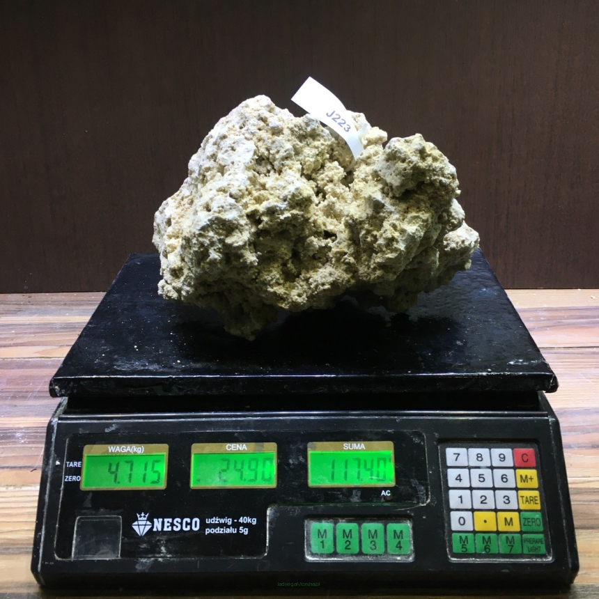 Sucha skała premium 4.715 kg (24.90 pln/kg) nr J223 INDONEZJA