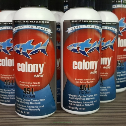 ATM COLONY Marine – dopalacz cyklu azotowego 118 ml (bakterie nitryfikujące)