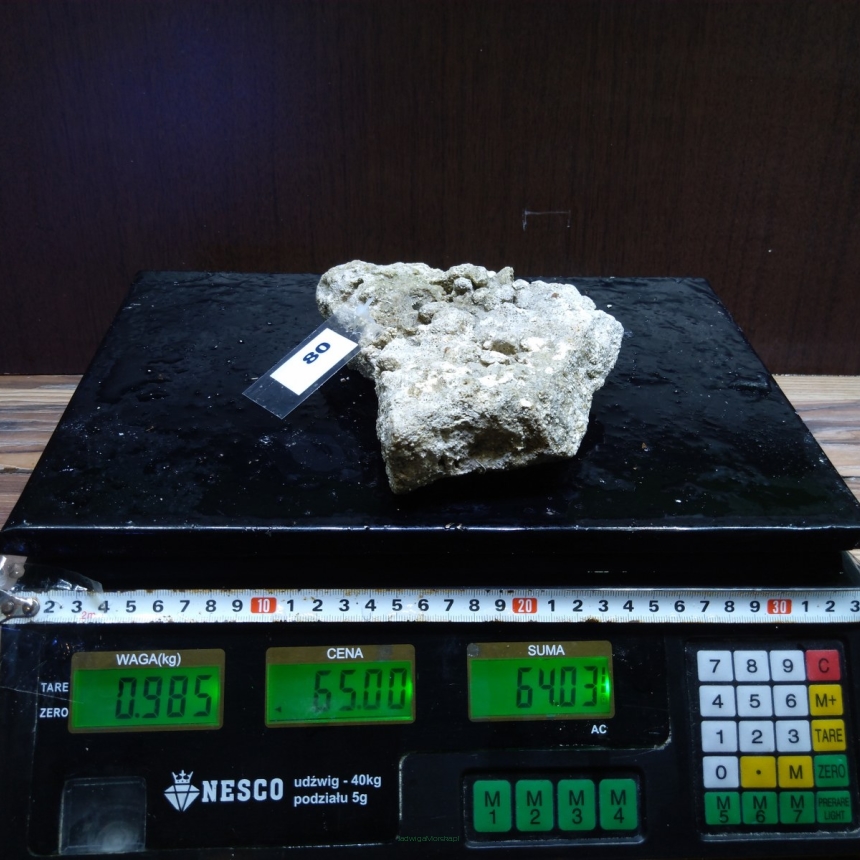 Żywa skała 0.985 kg (78 pln/kg) nr 80