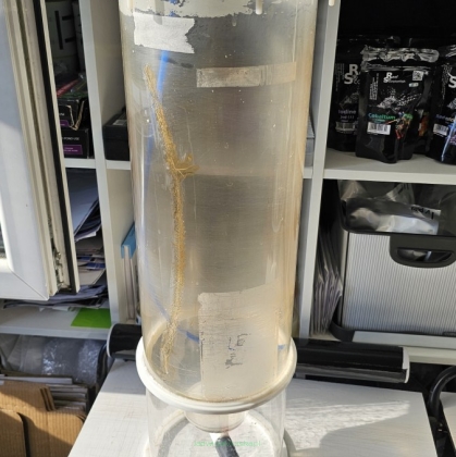 Phytoplankton reactor PR 70/200 - 19.5L UŻYWANY