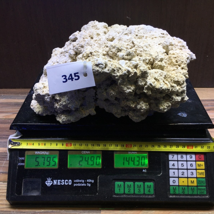 Sucha skała premium 5.795kg (24.90 pln/kg) nr J345 INDONEZJA
