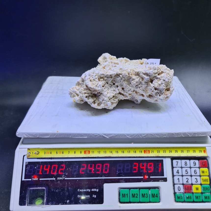 Sucha skała premium 1.402 kg (24.90 pln/kg) nr J81 INDONEZJA