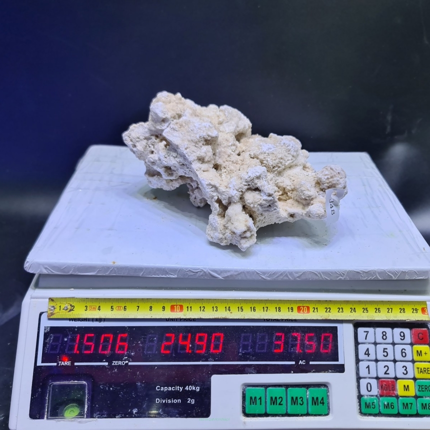 Sucha skała premium 1.506 kg (24.90 pln/kg) nr J48 INDONEZJA