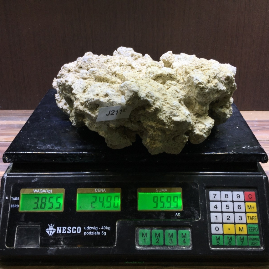 Sucha skała premium 3.855 kg (24.90 pln/kg) nr J211 INDONEZJA