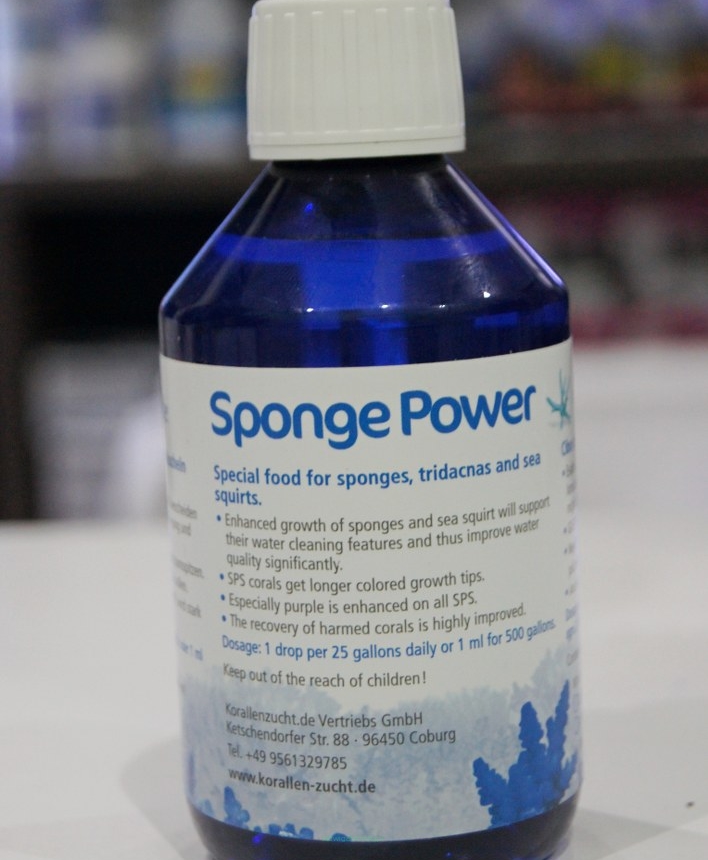 Sponge Power 250 ml (Dobra Cena Bez Rabatu)