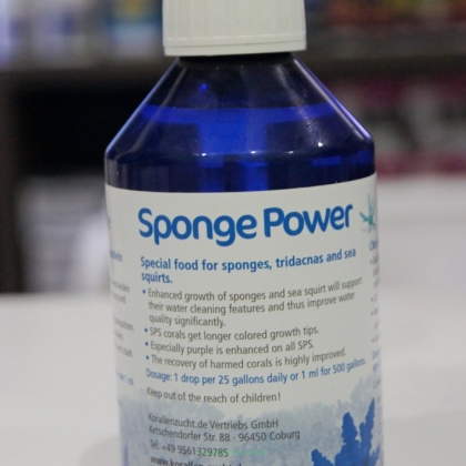 Sponge Power 250 ml (Dobra Cena Bez Rabatu)