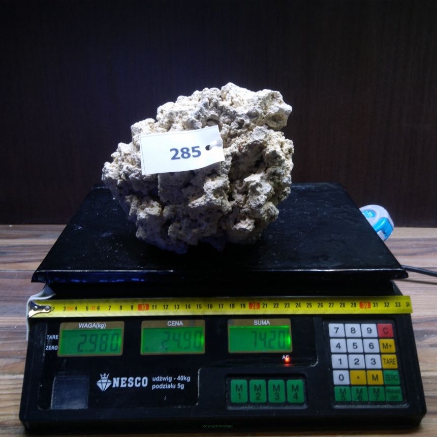 Sucha skała premium 2.98 kg (24.90 pln/kg) nr J285 INDONEZJA