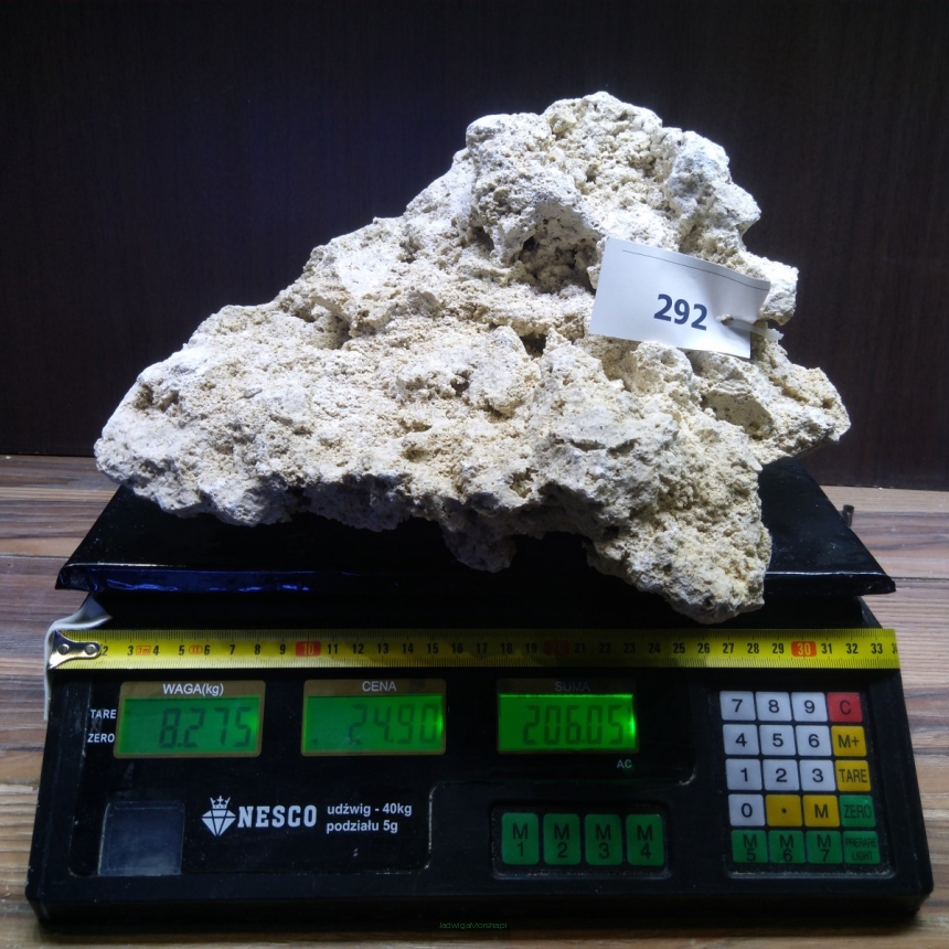 Sucha skała premium 8.275 kg (24.90 pln/kg) nr J292 INDONEZJA