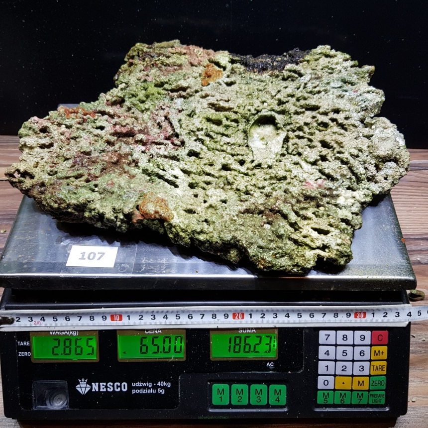 Żywa skała 2.865 kg (65 pln/kg) nr 107