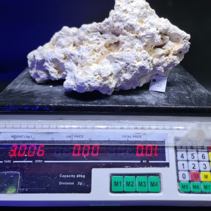 Sucha skała premium 3.006 kg (24.90 pln/kg) nr J2 INDONEZJA
