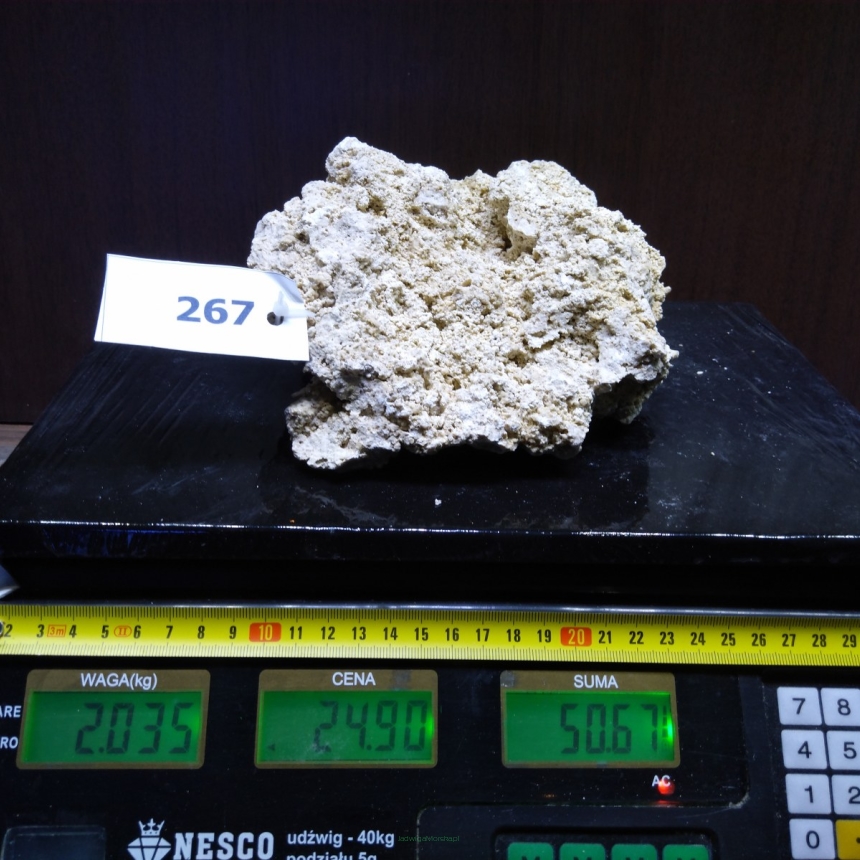 Sucha skała premium 2.035 kg (24.90 pln/kg) nr J267 INDONEZJA