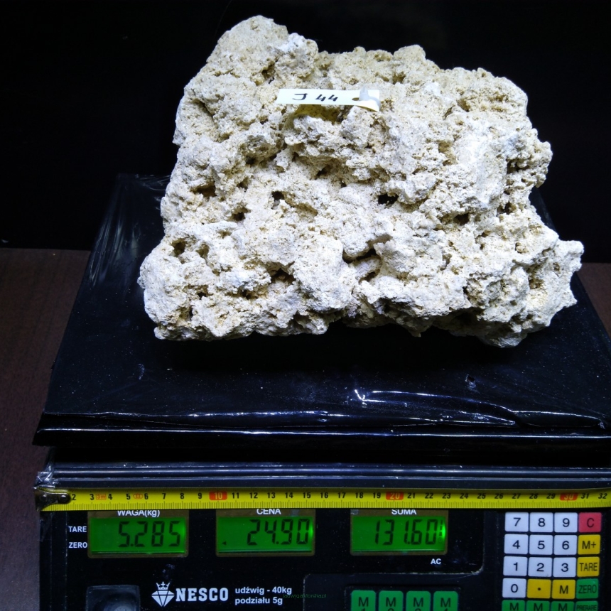 Sucha skała premium 5.285 kg (24.90 pln/kg) nr J44 INDONEZJA
