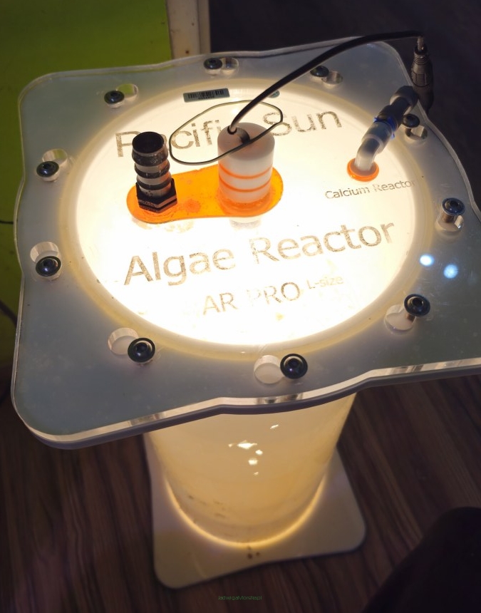 Algae Reactor AR-PRO rozmiar L UŻYWANY