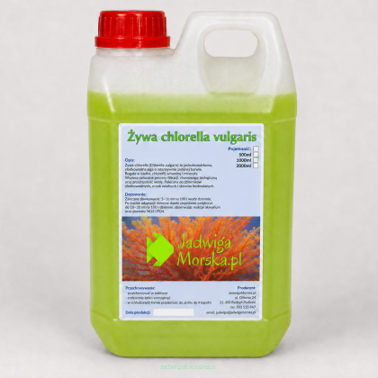 Chlorella vulgaris 2L (LIVE)