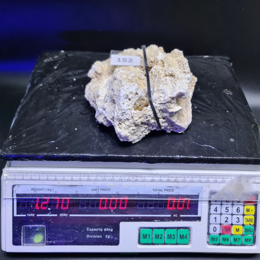 Sucha skała premium 1.27 kg (24.90 pln/kg) nr 152 INDONEZJA