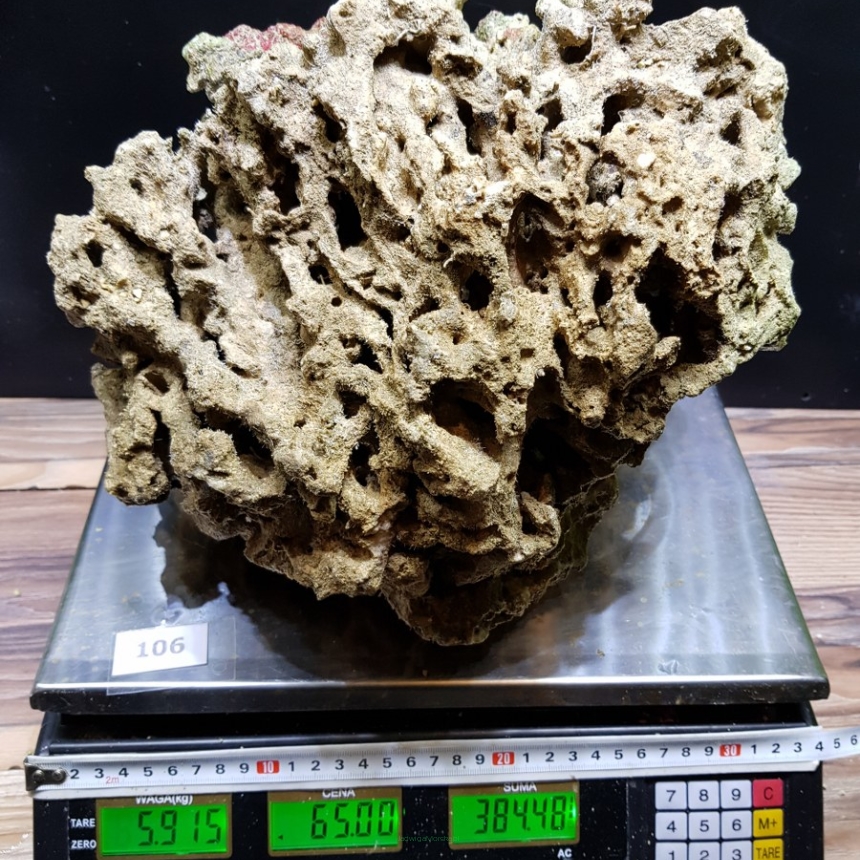 Żywa skała 5.915 kg (65 pln/kg) nr 106