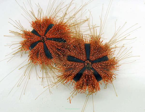 Mespilia globulus RED (jeżowiec) 4 cm