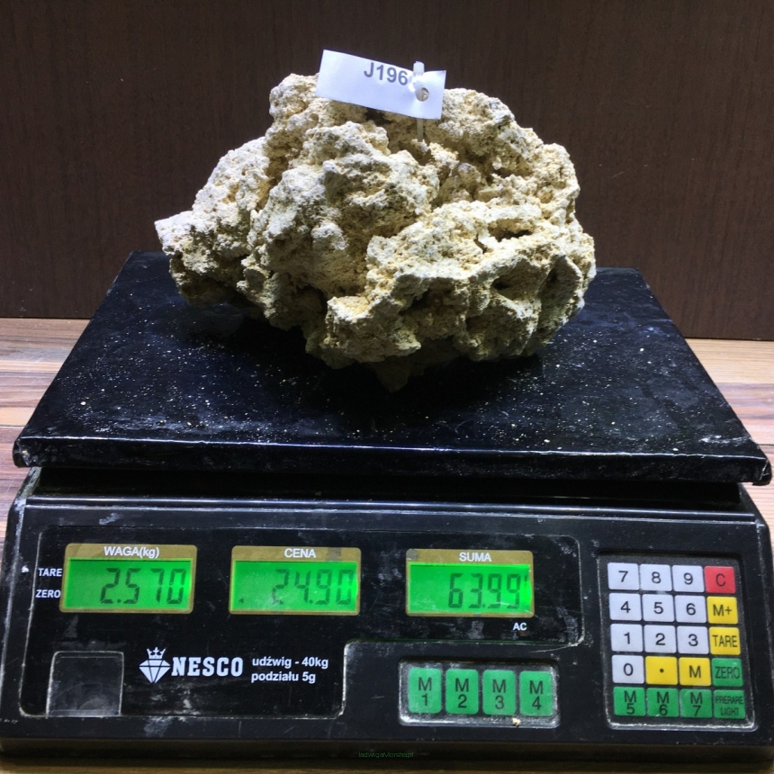 Sucha skała premium 2.57 kg (24.90 pln/kg) nr J196 INDONEZJA