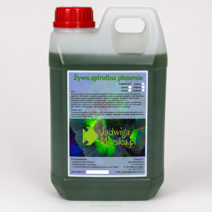 Spirulina platensis 2L (LIVE)