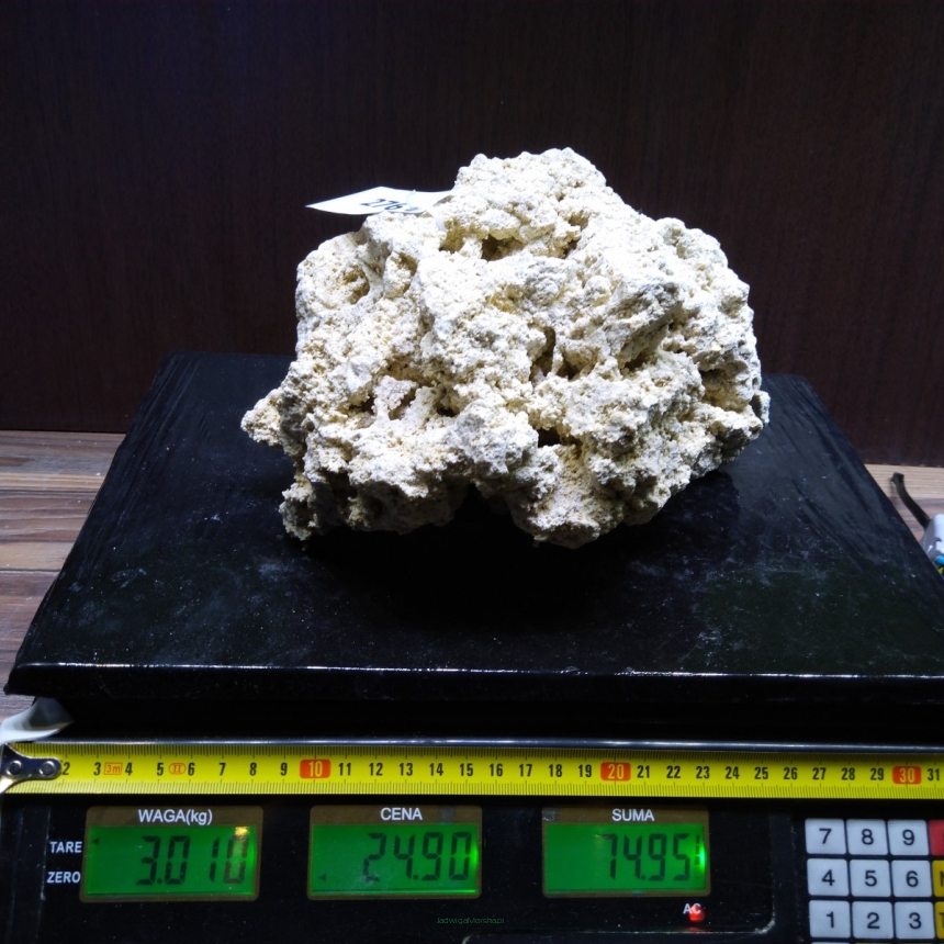 Sucha skała premium 3.01 kg (24.90 pln/kg) nr J276 INDONEZJA