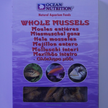 Whole mussels 100g (małże omułki)