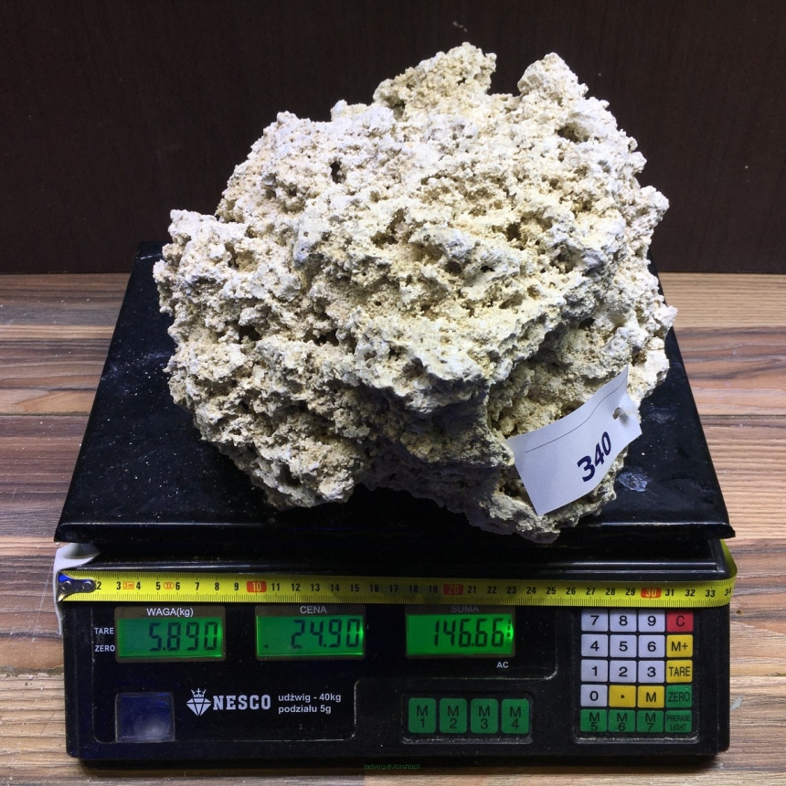 Sucha skała premium 5.89kg (24.90 pln/kg) nr J340 INDONEZJA