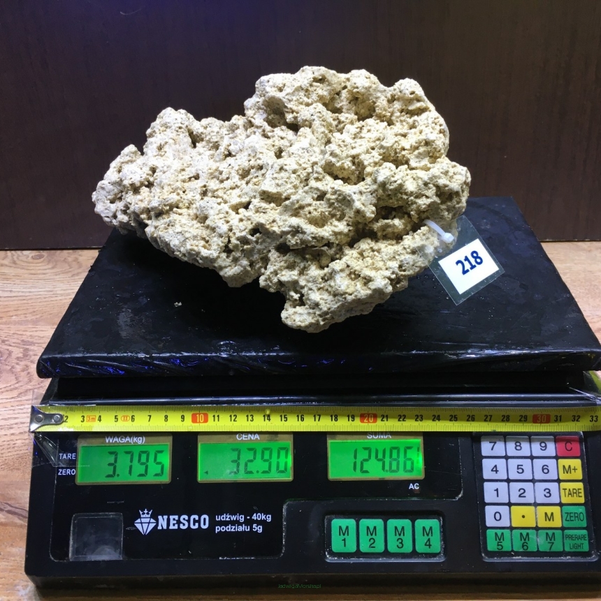 Ożywiona skała premium 3.795 kg (32.90 pln/kg) nr 218 INDONEZJA