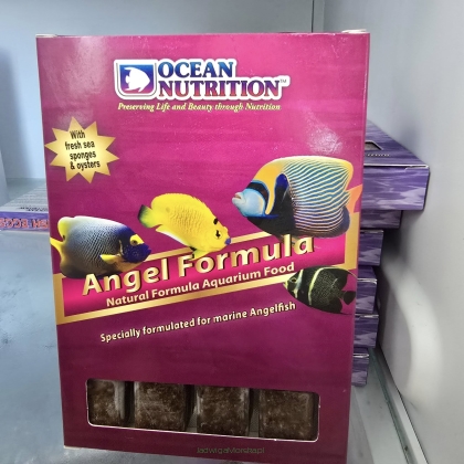 Angel Formula 100g (dla ryb ustnikowatych)