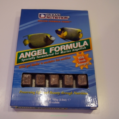 Angel Formula 100g (dla ryb ustnikowatych)