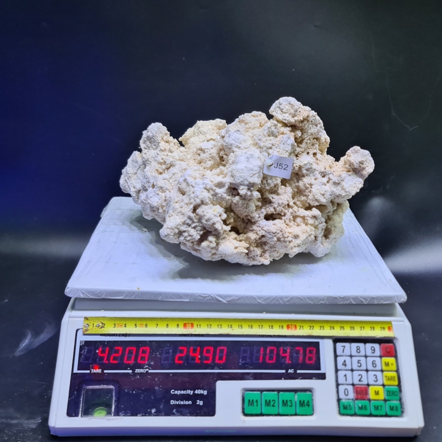 Sucha skała premium 4.208 kg (24.90 pln/kg) nr J52 INDONEZJA