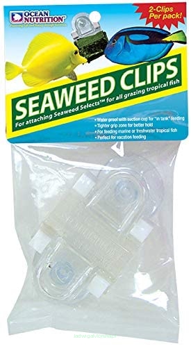 Ocean Nutrition Marine Algae KLIPS (2 szt)