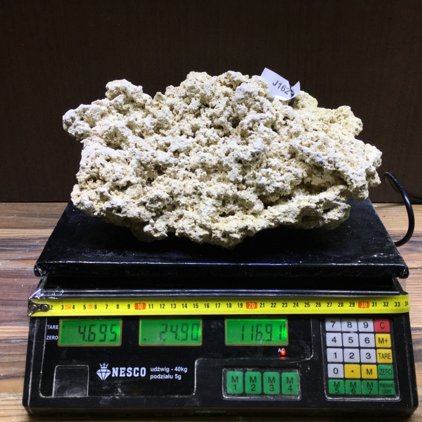 Sucha skała premium 4.695 kg (24.90 pln/kg) nr J162 INDONEZJA
