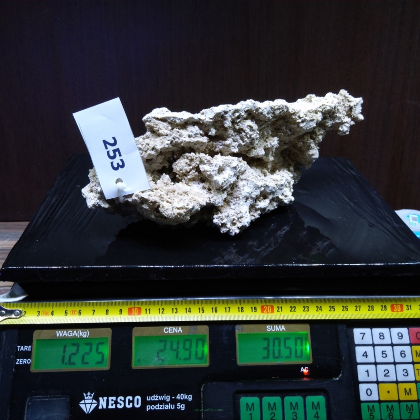 Sucha skała premium 1.225 kg (24.90 pln/kg) nr J253 INDONEZJA