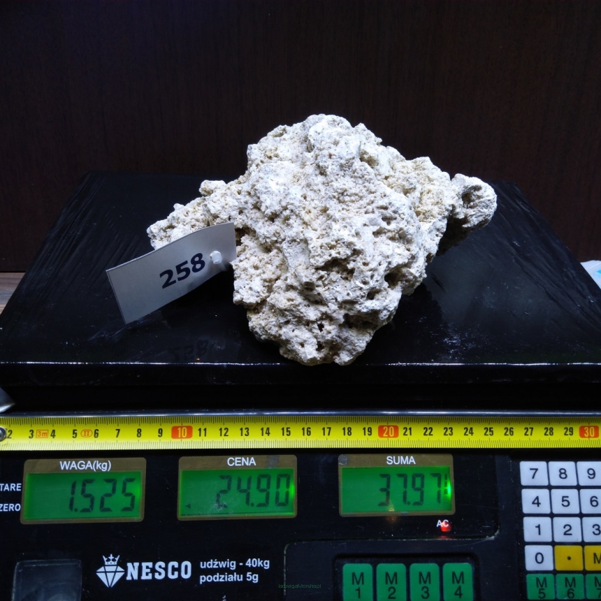 Sucha skała premium 1.525 kg (24.90 pln/kg) nr J258 INDONEZJA