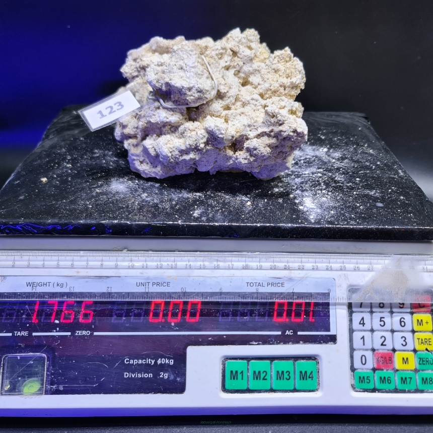 Sucha skała premium 1.766 kg (24.90 pln/kg) nr 123 INDONEZJA