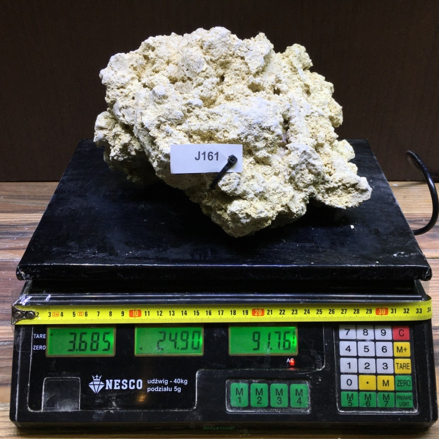 Sucha skała premium 3.685 kg (24.90 pln/kg) nr J161 INDONEZJA