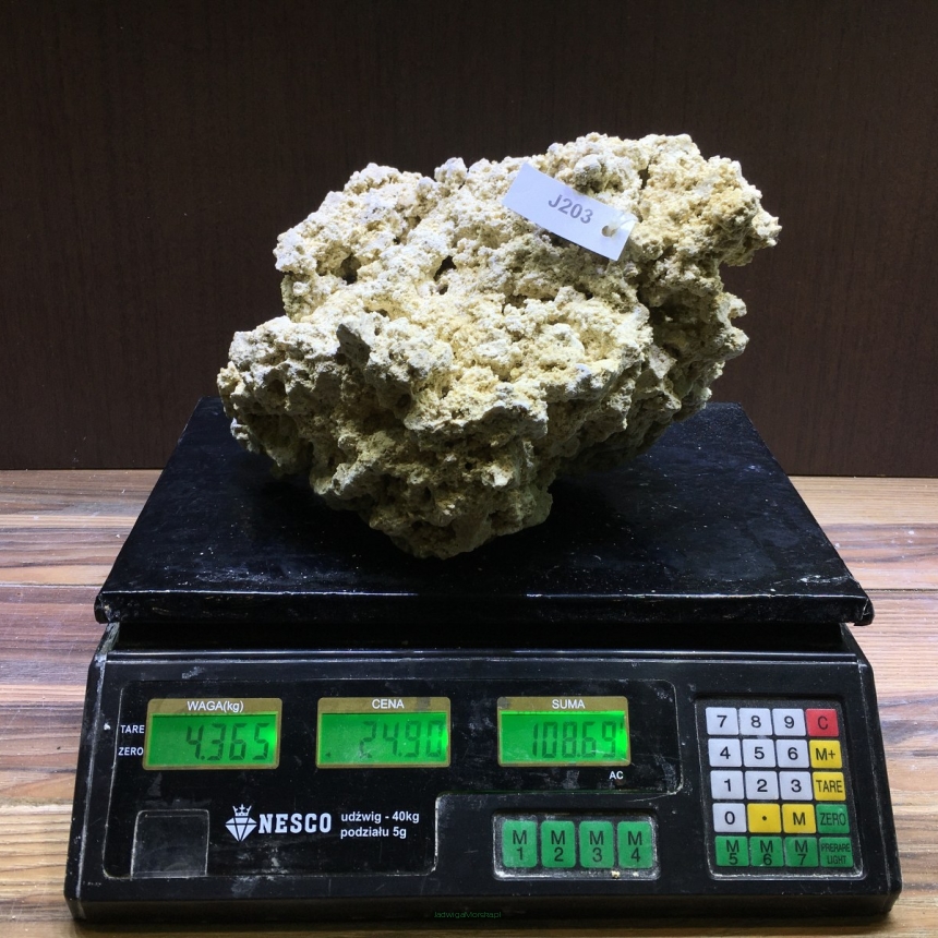 Sucha skała premium 4.365 kg (24.90 pln/kg) nr J203 INDONEZJA
