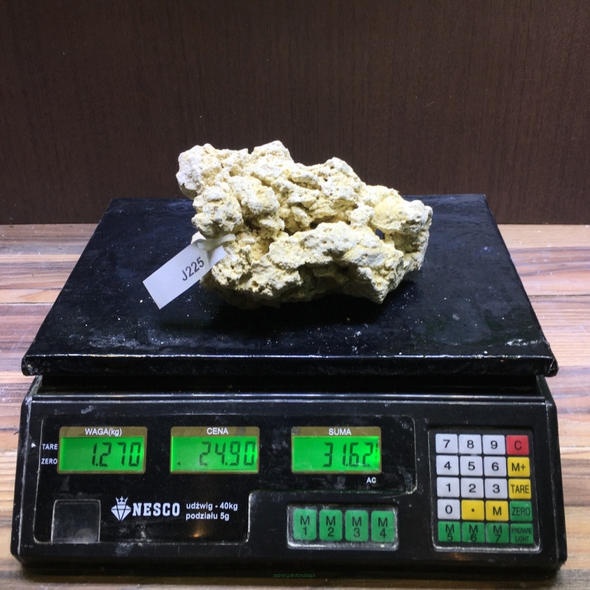 Sucha skała premium 1.27 kg (24.90 pln/kg) nr J225 INDONEZJA